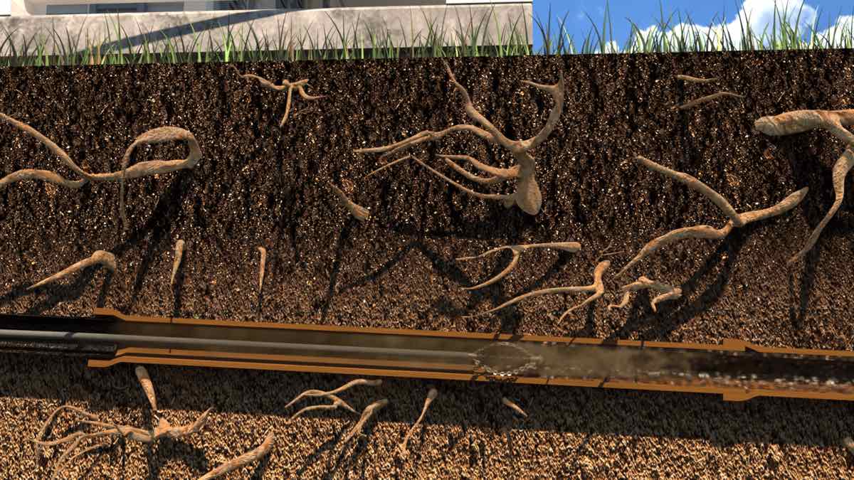 Cutaway illustration of a rotating chain cutter clearing tree roots out of a buried sewer lateral to prepare the pipe for a cured-in-place liner