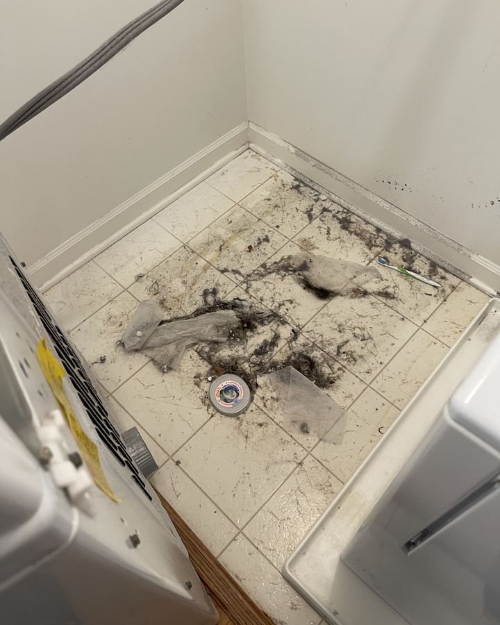Lint piled on a laundry room floor behind a dryer in Ashburn, Virginia, before cleaning
