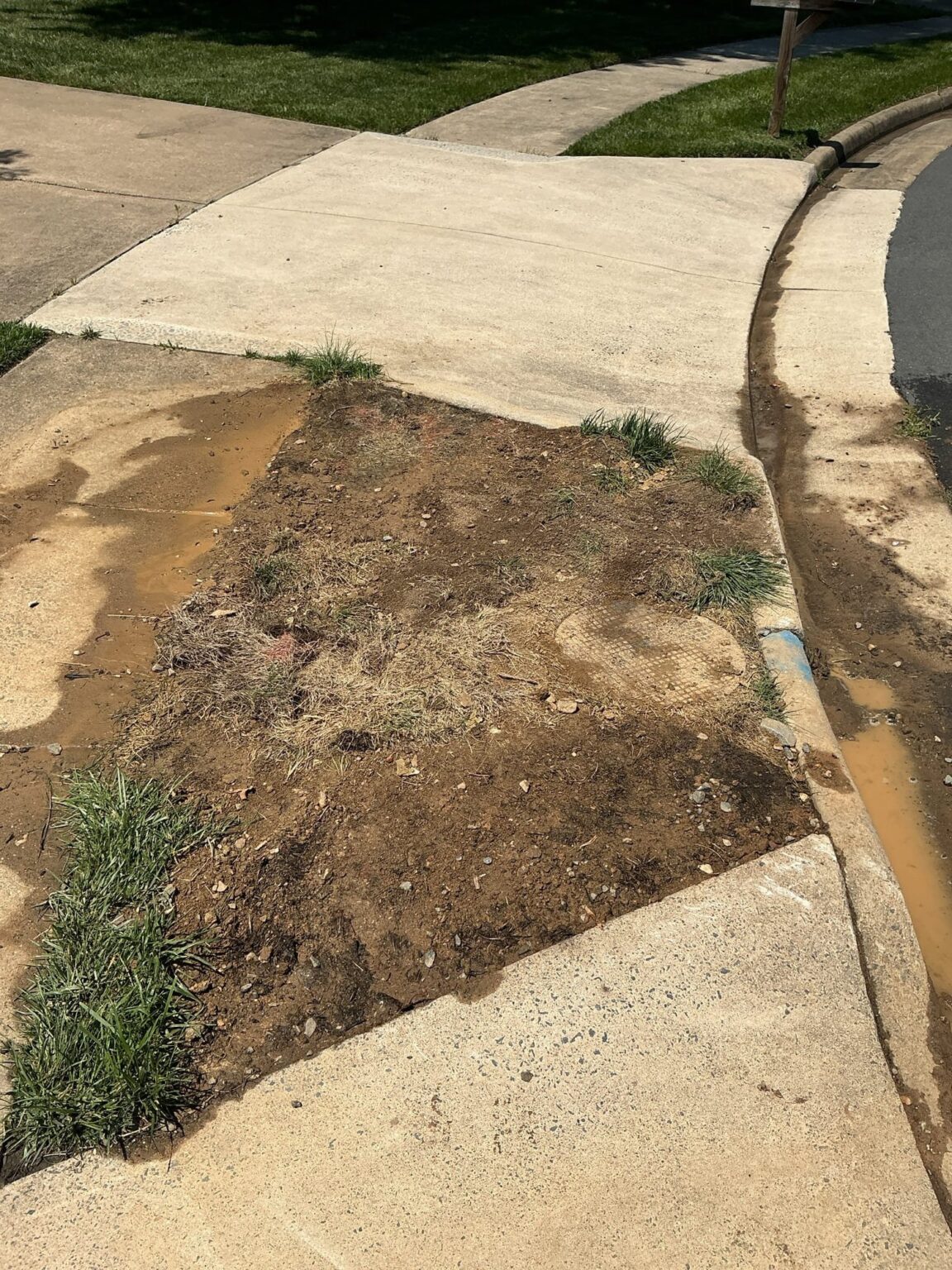A Northern Virginia front yard graded and restored over the path of a newly replaced underground sewer line