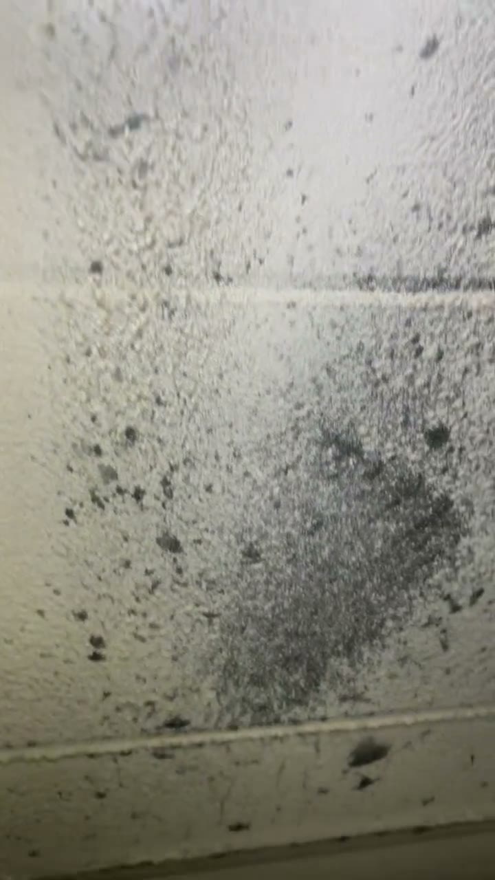 Raw phone clip, no text: a duct wall half cleaned, with dark dust specks and debris, then a view down the trunk.
