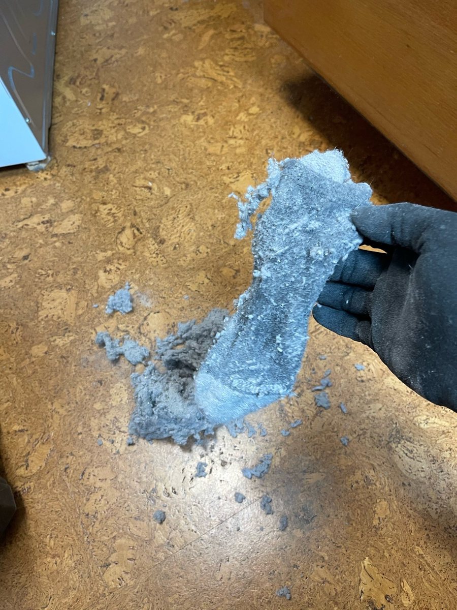 A SwiftPro technician's gloved hand holding a plug of grey lint pulled out of a dryer vent line in a Northern Virginia home